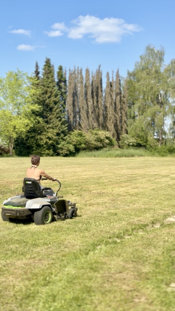 Regelmäßige Pflege der Fläche